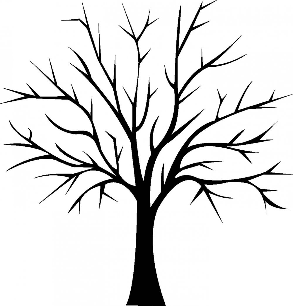 Генеалогическое дерево рисунок