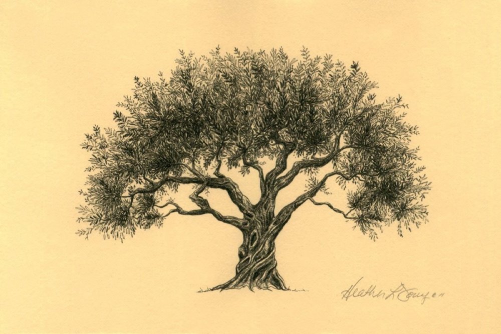Рисование кроны дерева