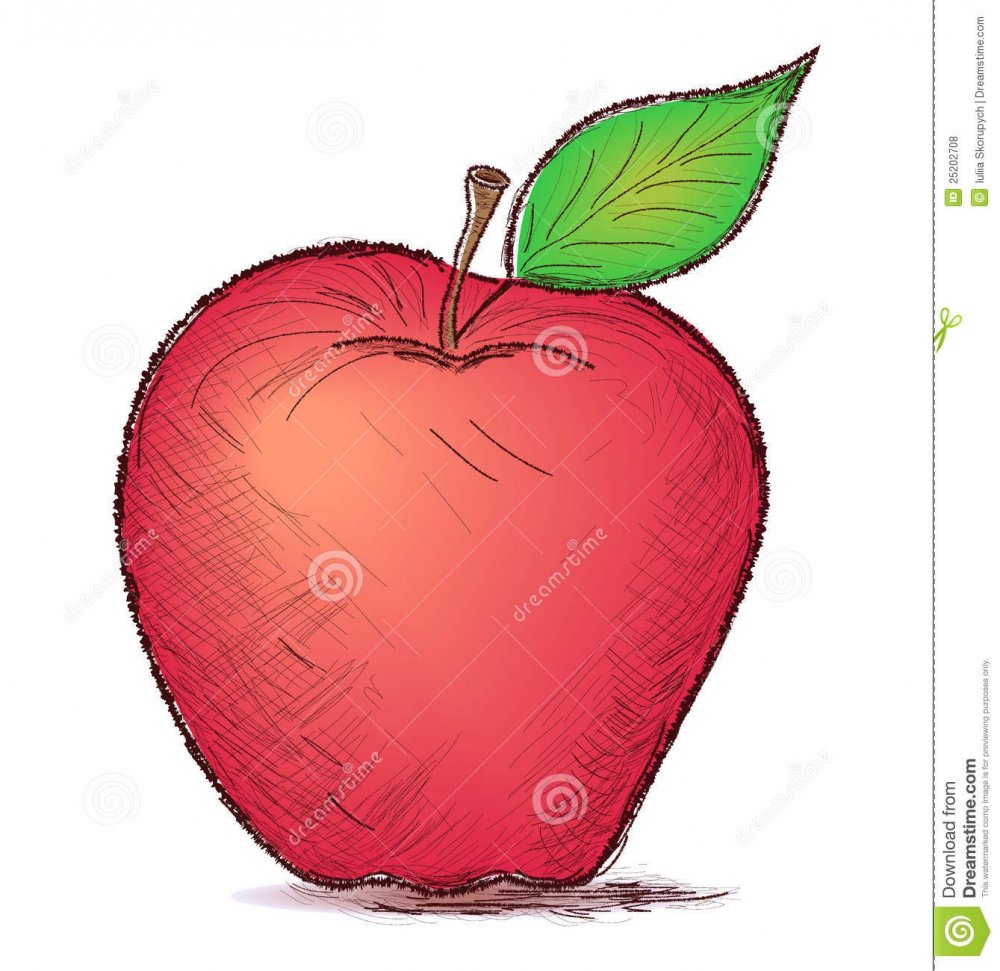 Яблоко рисунок карандашом легко
