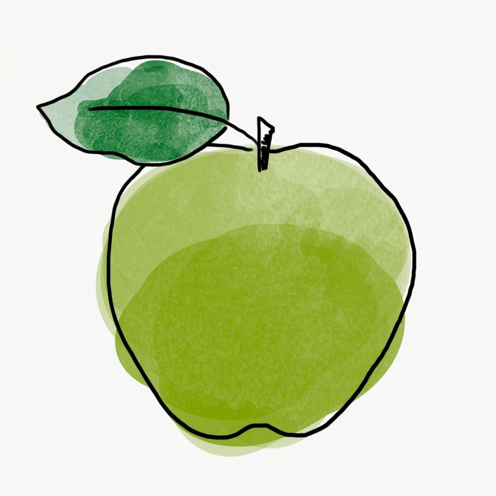 Рисунок яблока карандашом для срисовки