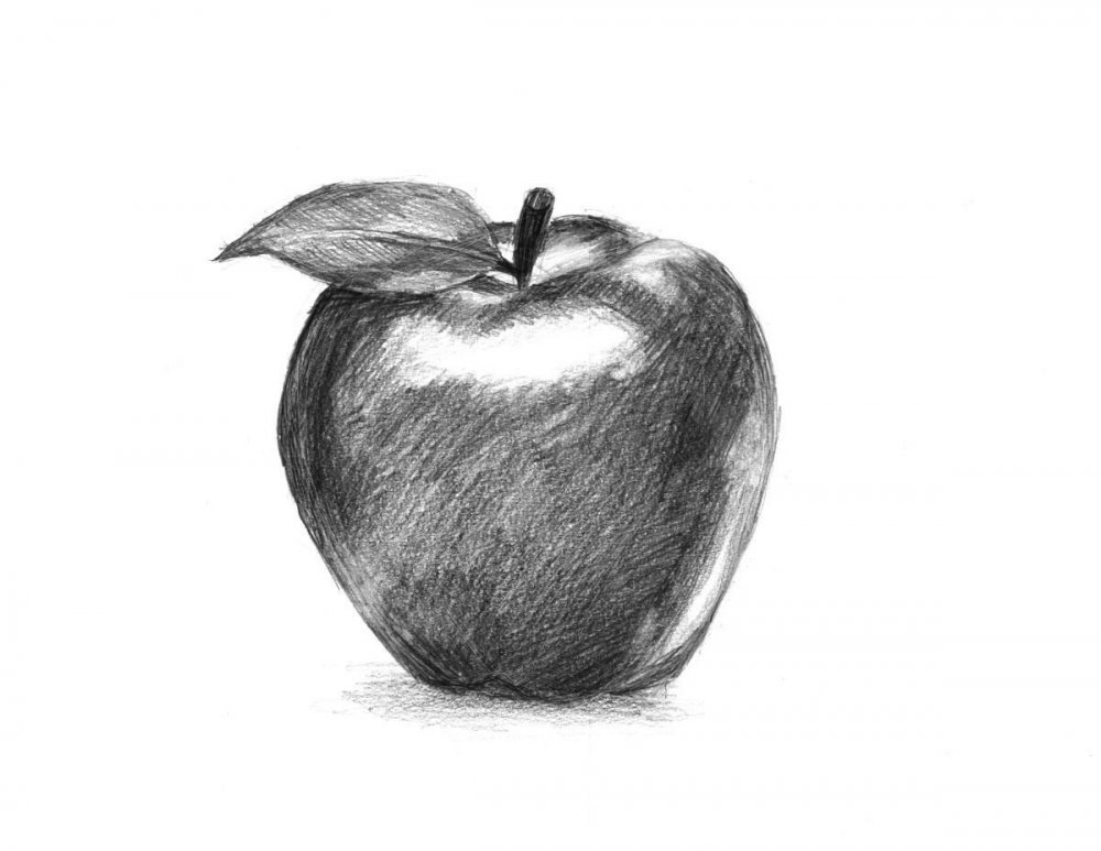 Яблоко шаблон для рисования