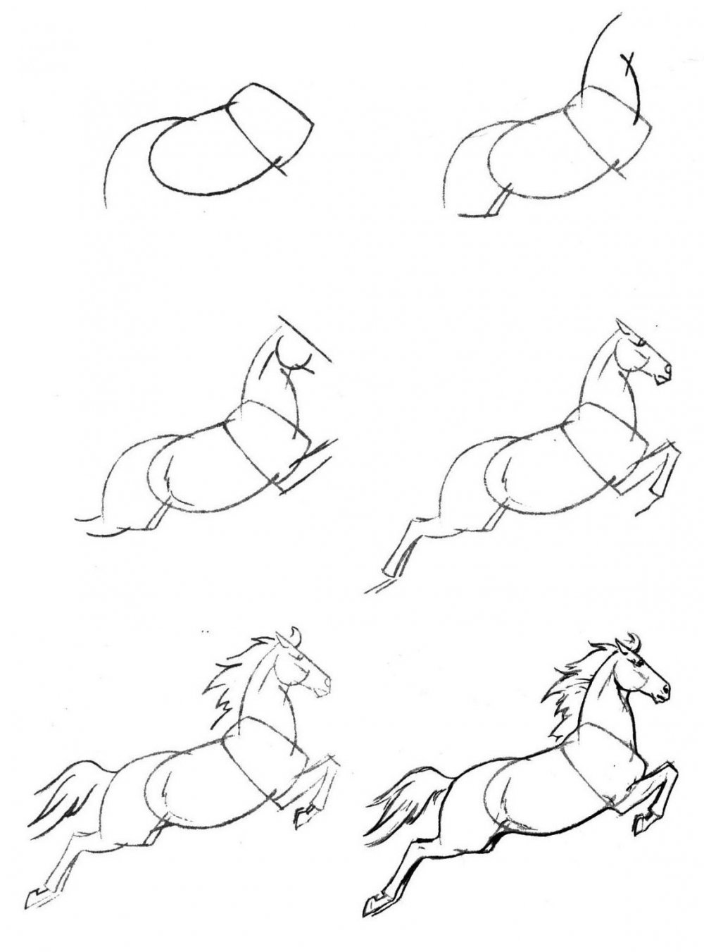 Как научиться рисовать лошадь