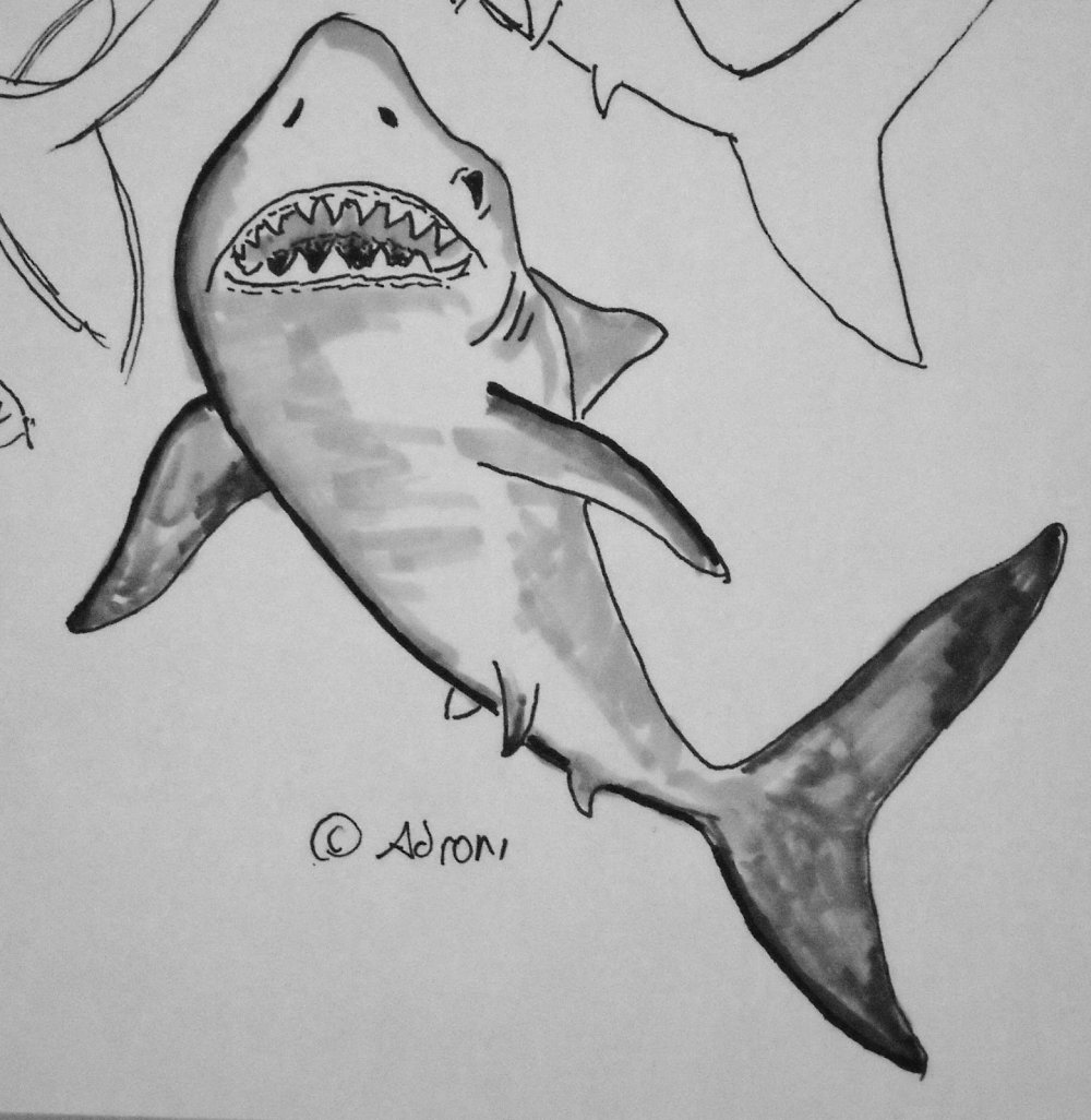 Агрессивные акулы клипарт