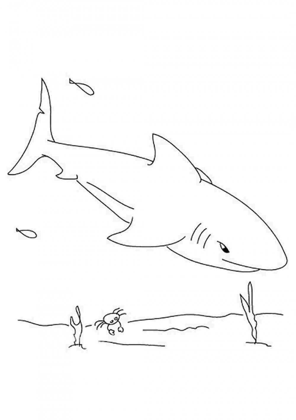Акула зарисовка