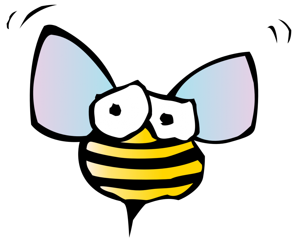 Насекомые для дошкольников пчела в улье