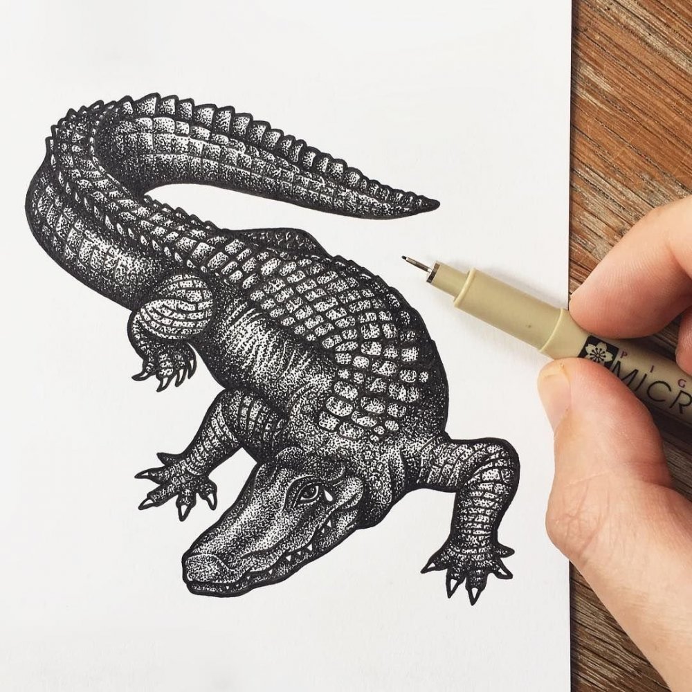 Татуировка крокодил эскиз