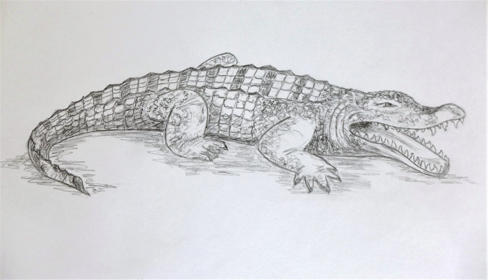Крокодилы в России