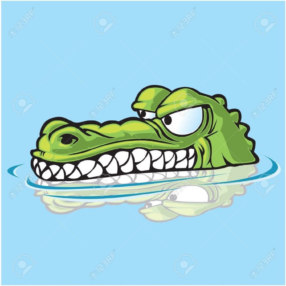 Крокодил выглядывает