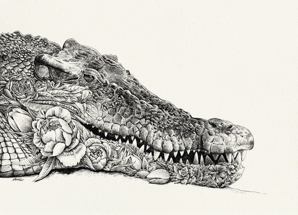 Узор крокодил