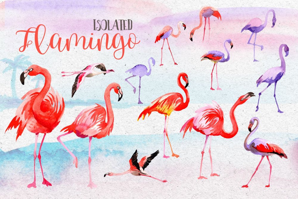 Фламинго рисунок для детей