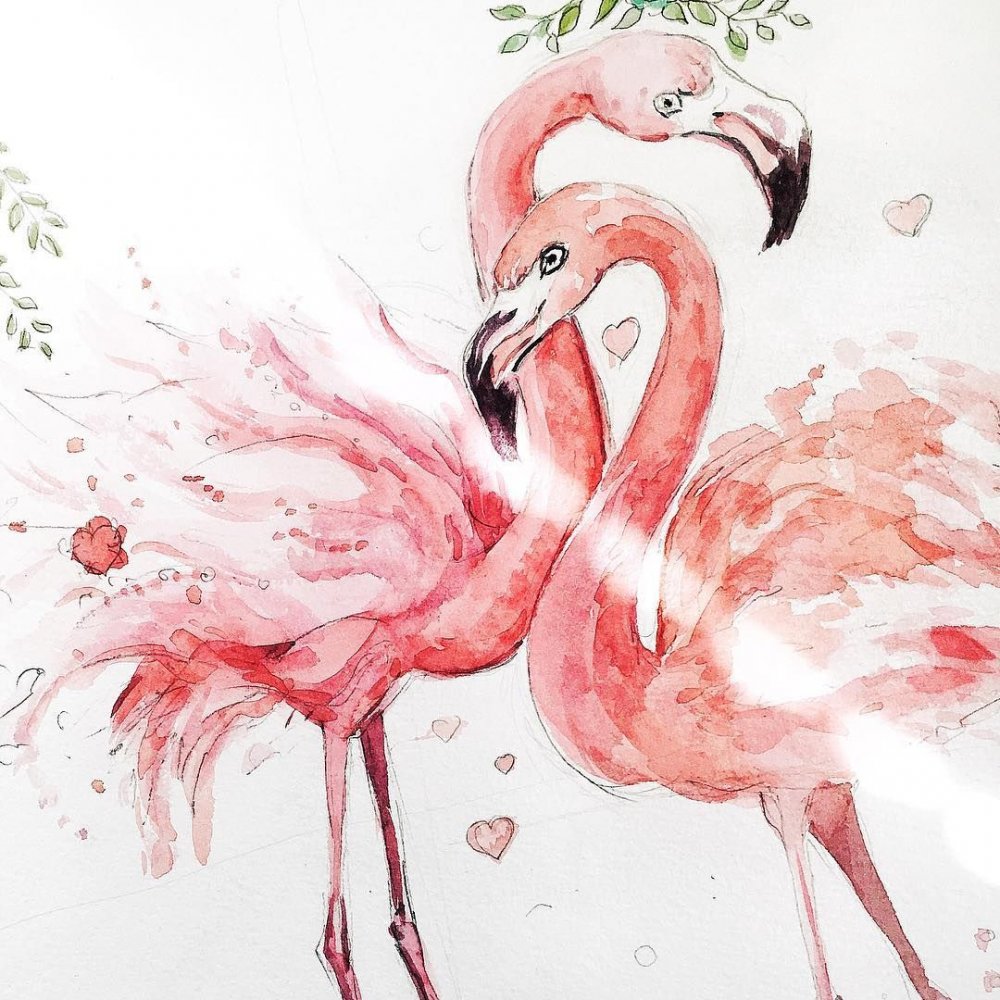 Flamingo Aquarelle
