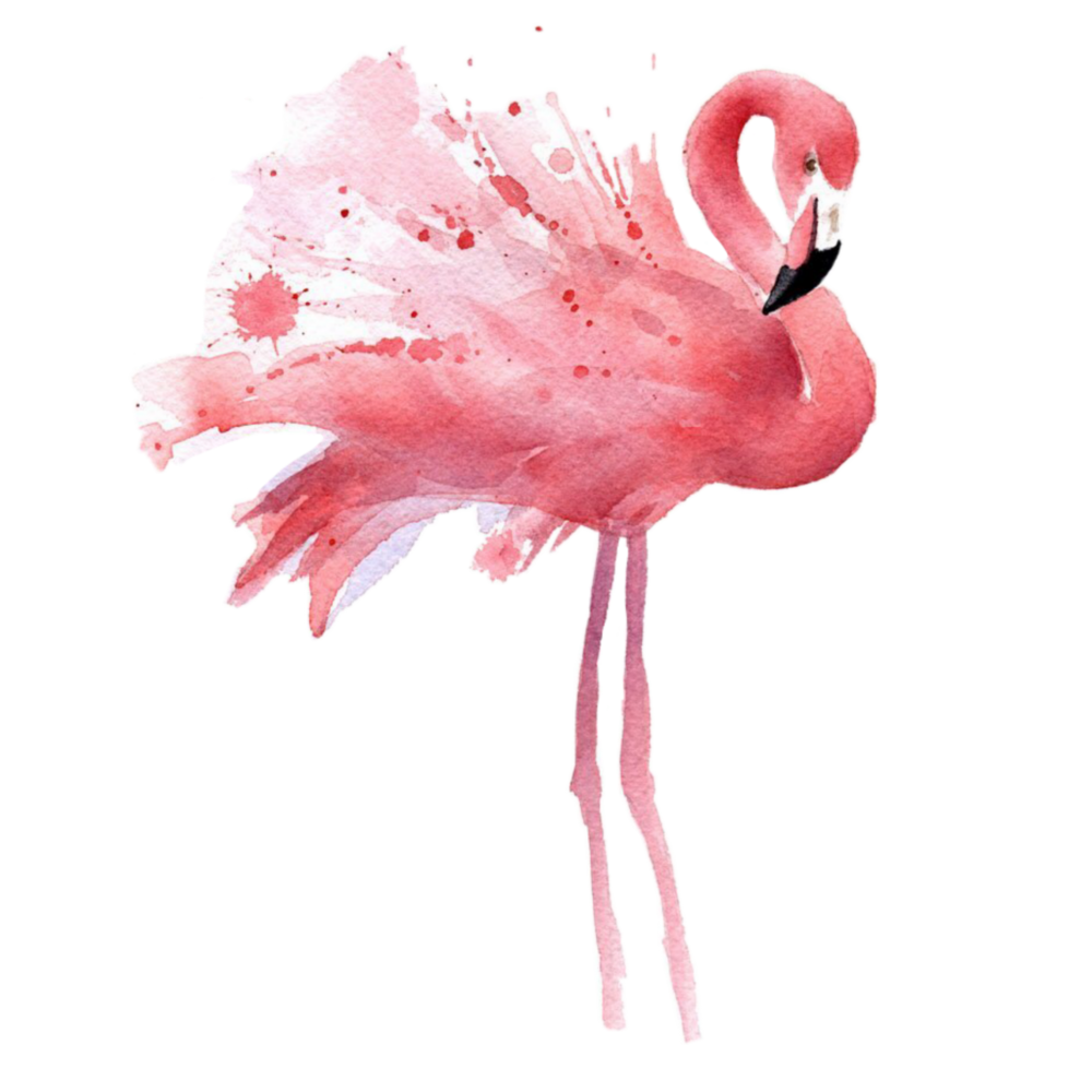 Перо Фламинго акварель
