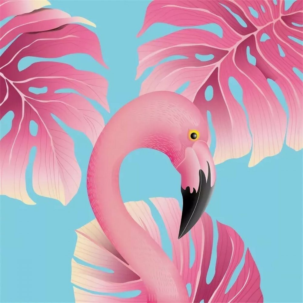 Влюбленные Фламинго