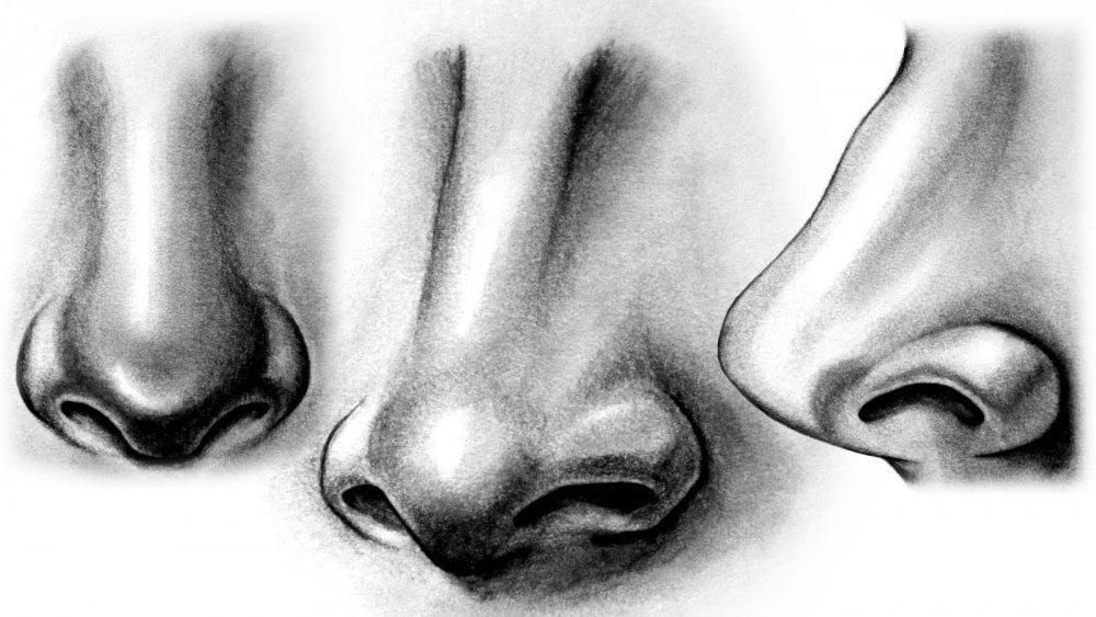 Нос спереди туториал