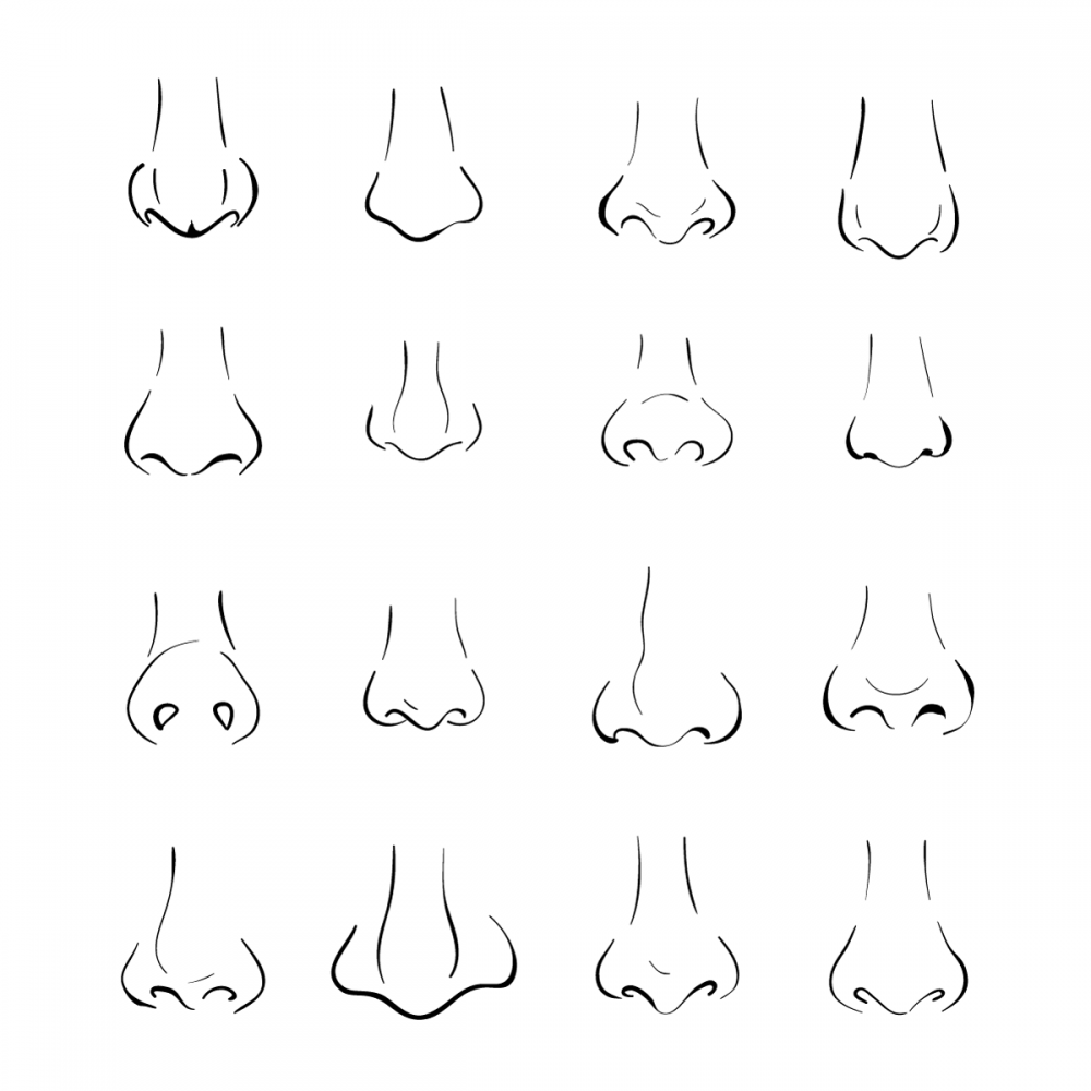 Разные формы носа для рисования