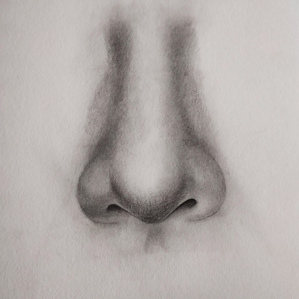 Реалистичный нос карандашом