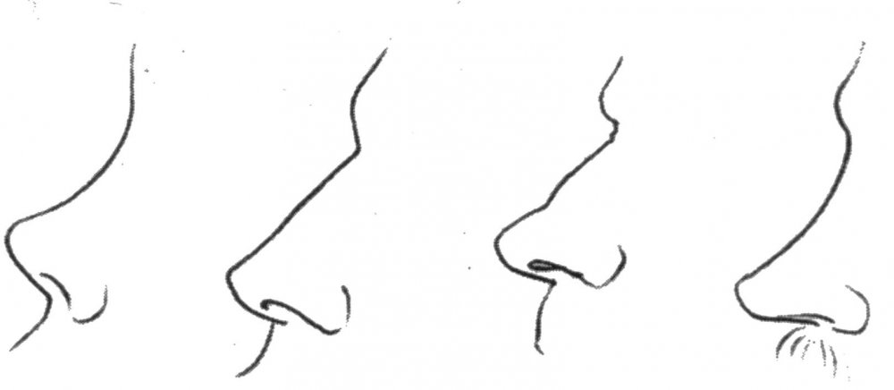 Разные формы носа для рисования