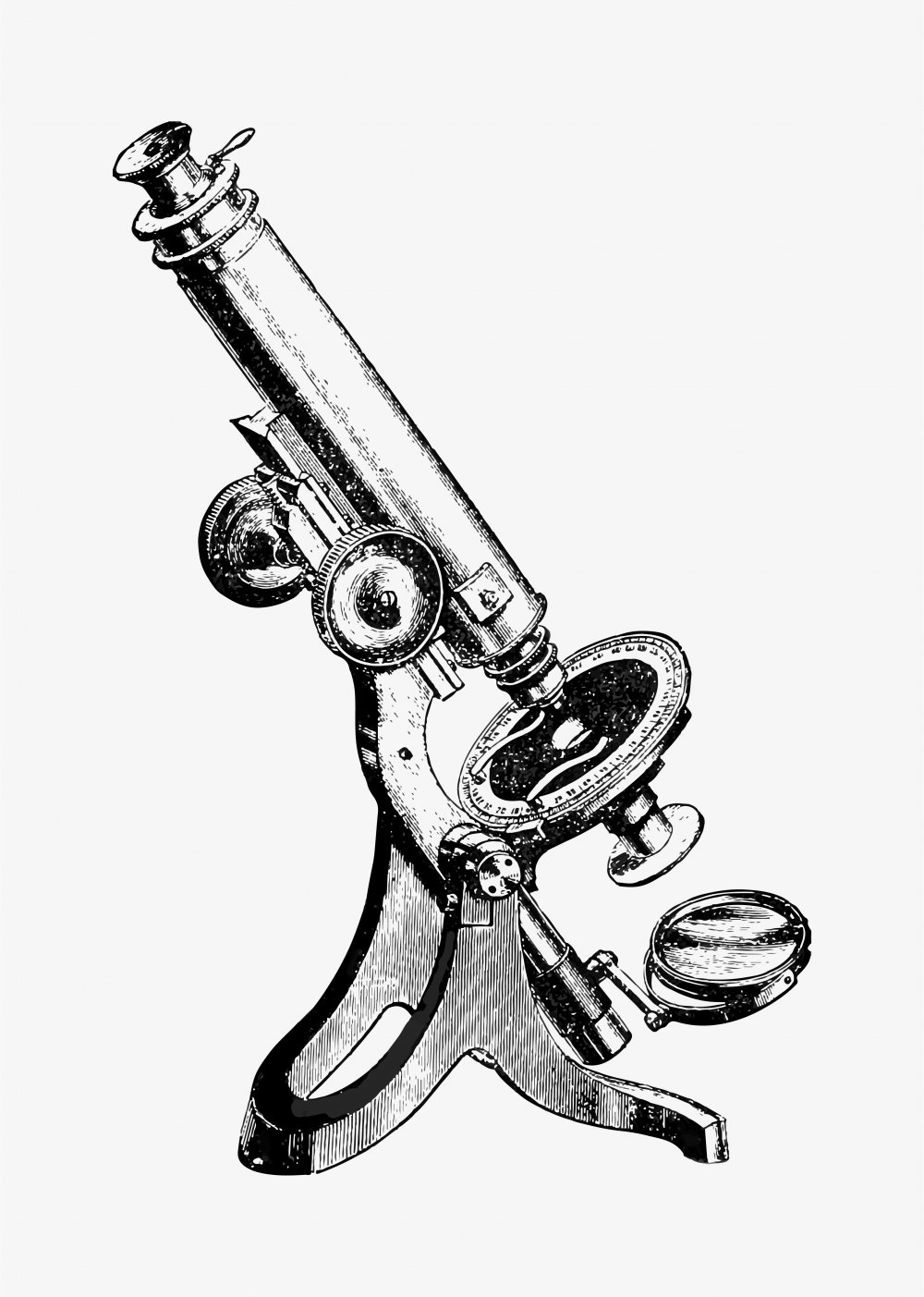 Микроскоп 20 века