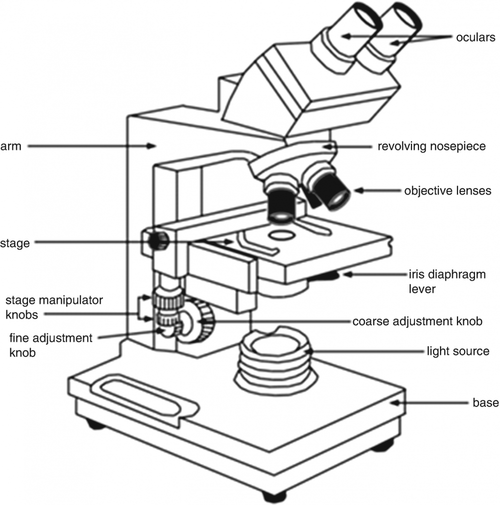Микроскоп вид сбоку