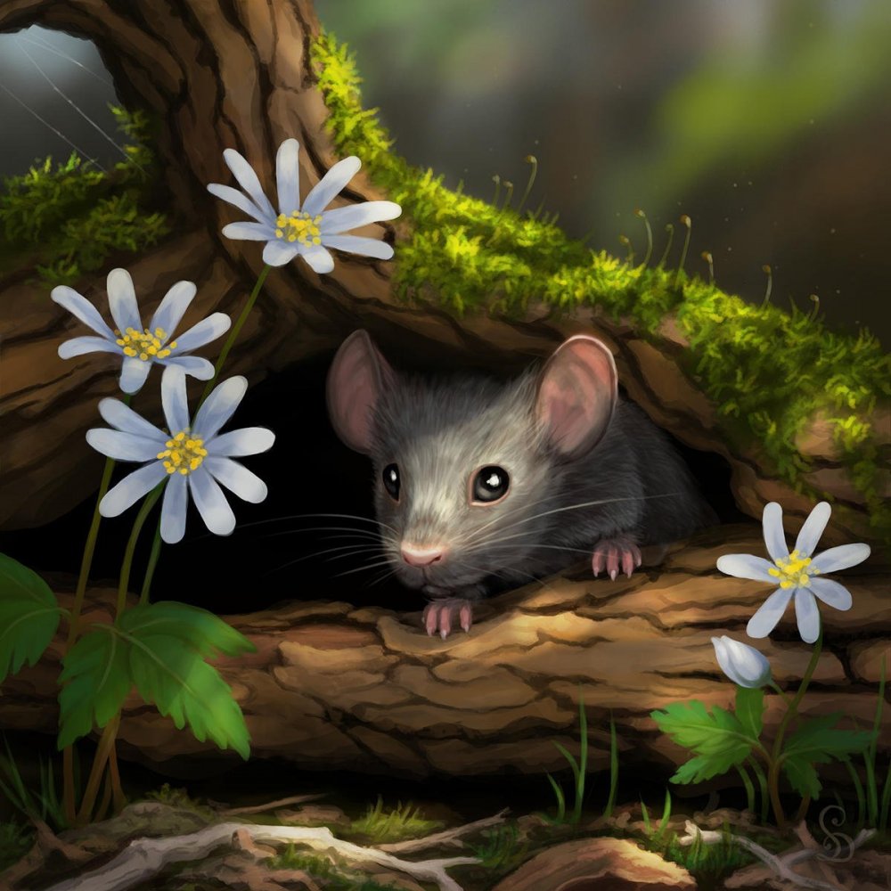 Мышь животное для детей