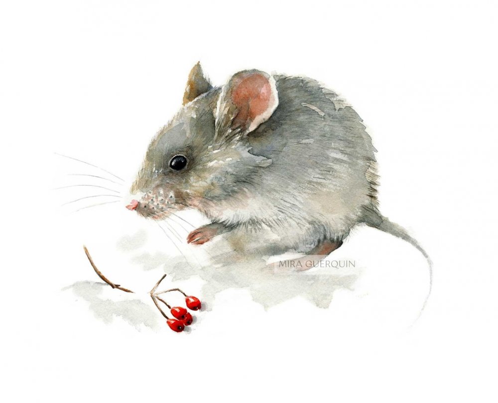 Крыса живопись