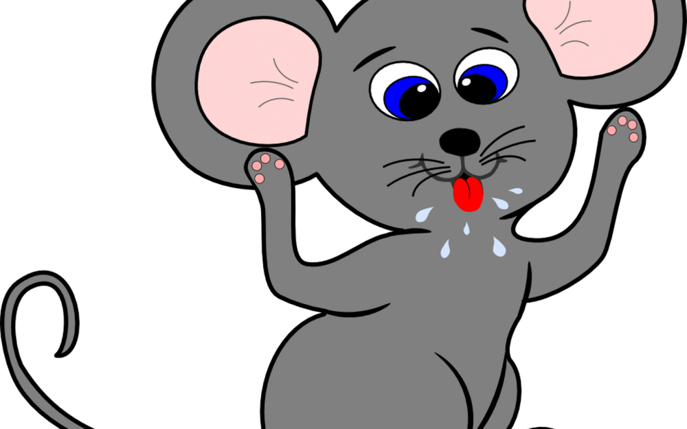 Мышка без фона для детей