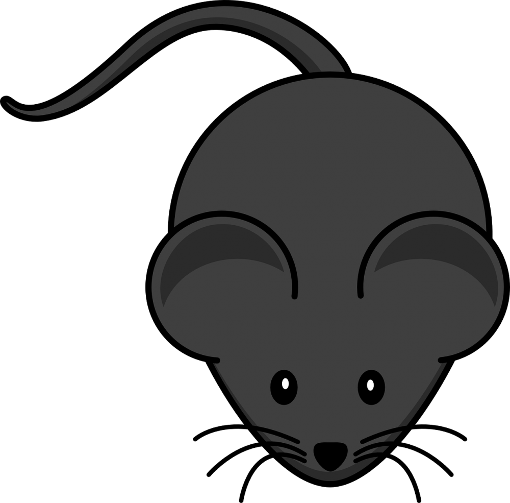 Мышка картинка