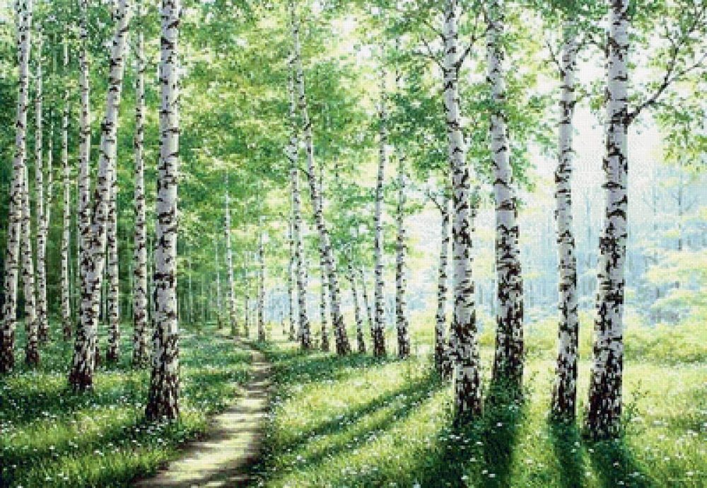 Лес рисунок фон длинный