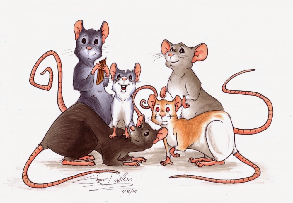 Крысиная семья