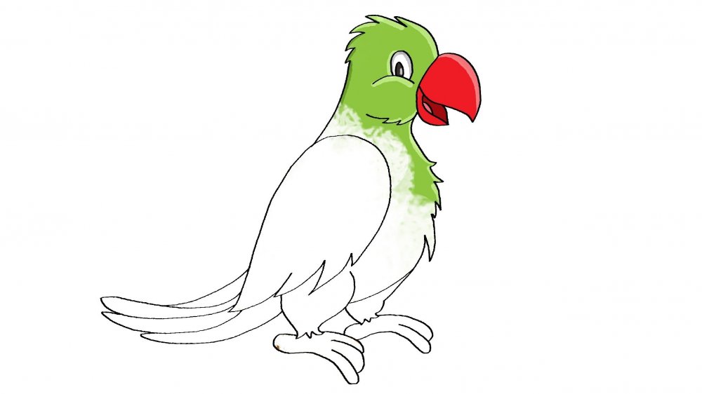 Как рисовать попугая сбоку