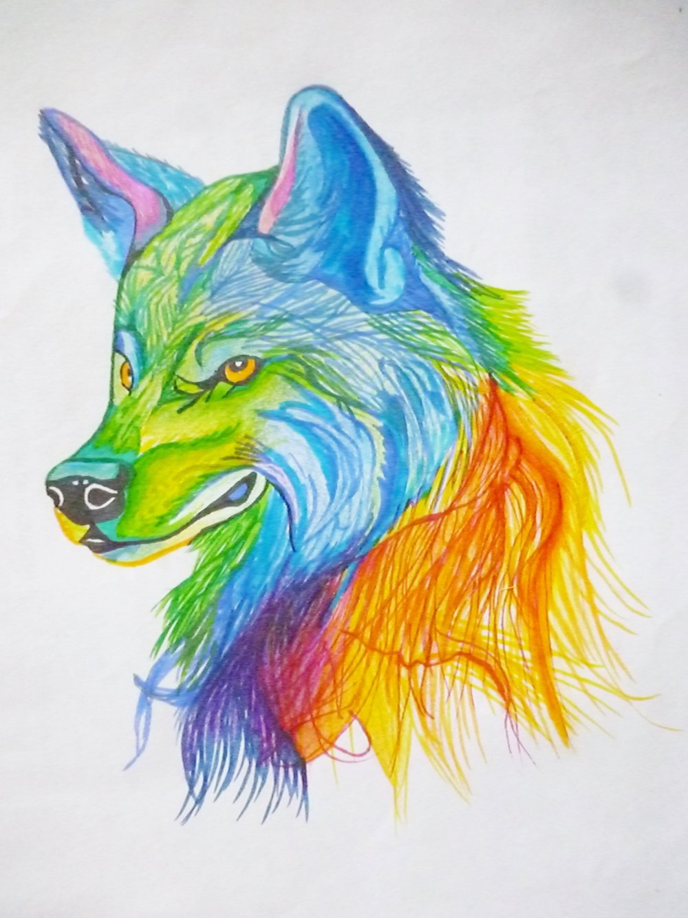 Волк рисунок цветными карандашами