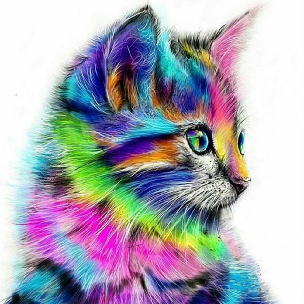 Алмазная вышивка «разноцветная кошка», lg009