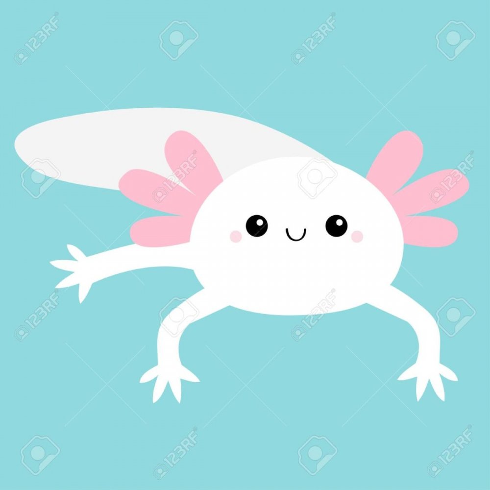 Nautilus are you an Axolotl обложка