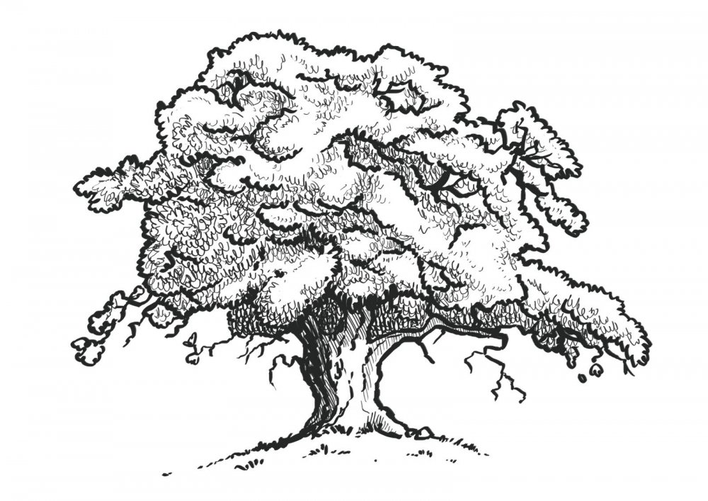 Живописное дерево
