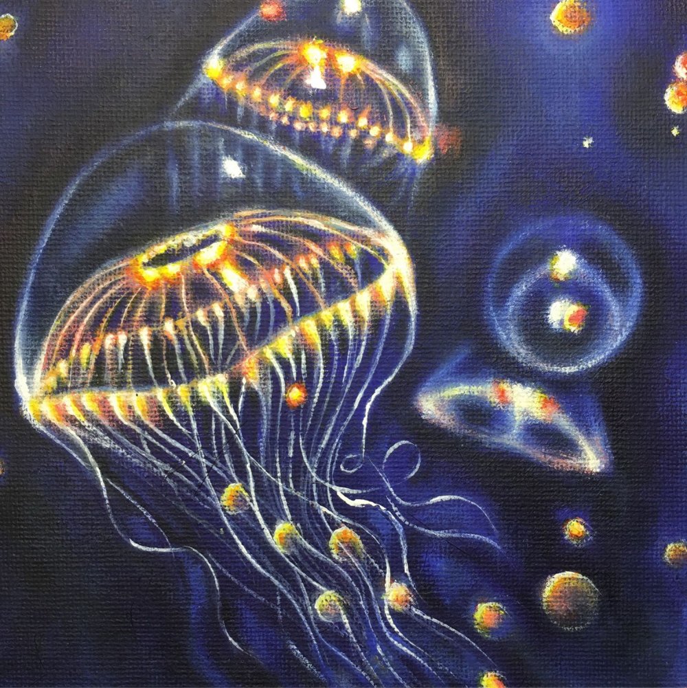 Медуза нарисованная на черном холсте