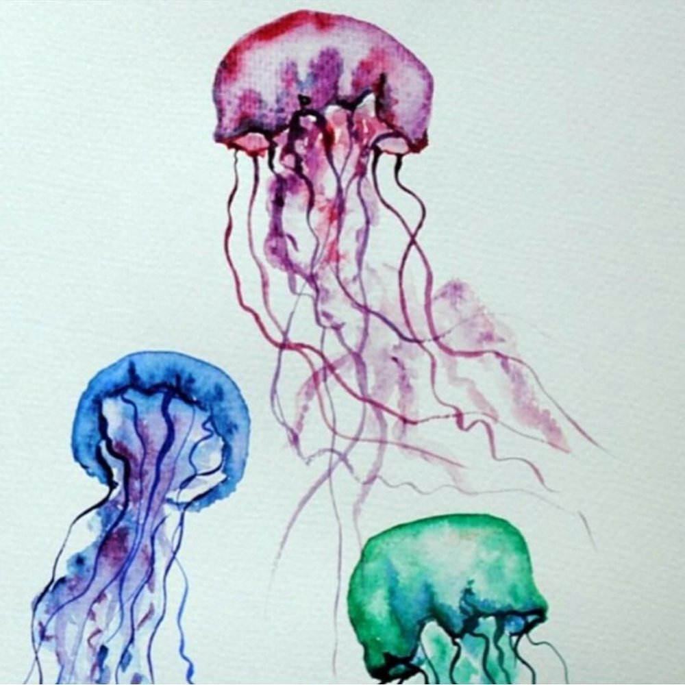 Рисование масляной пастелью медуз
