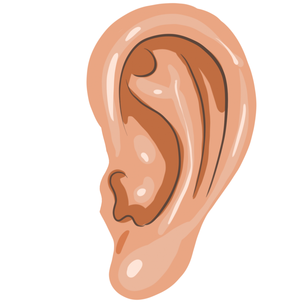 Векторное ухо