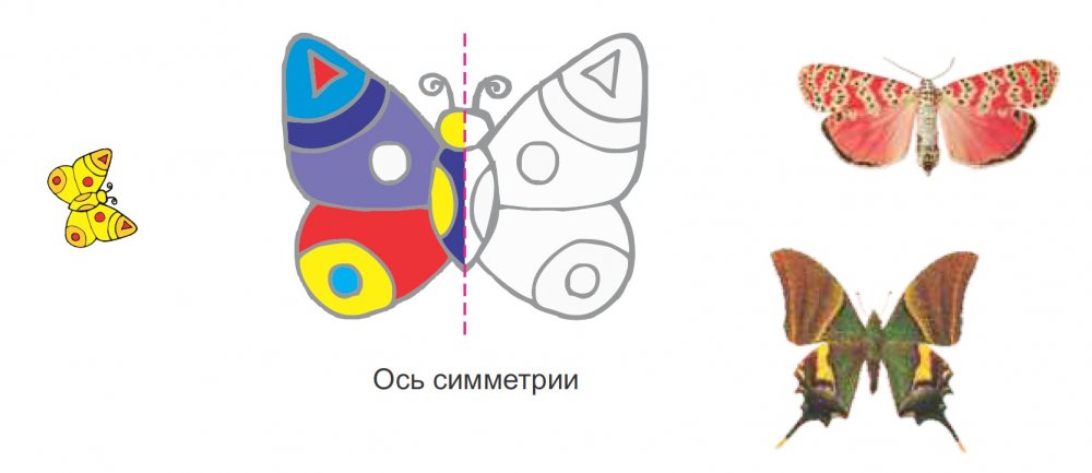 Задания дорисуй вторую половину