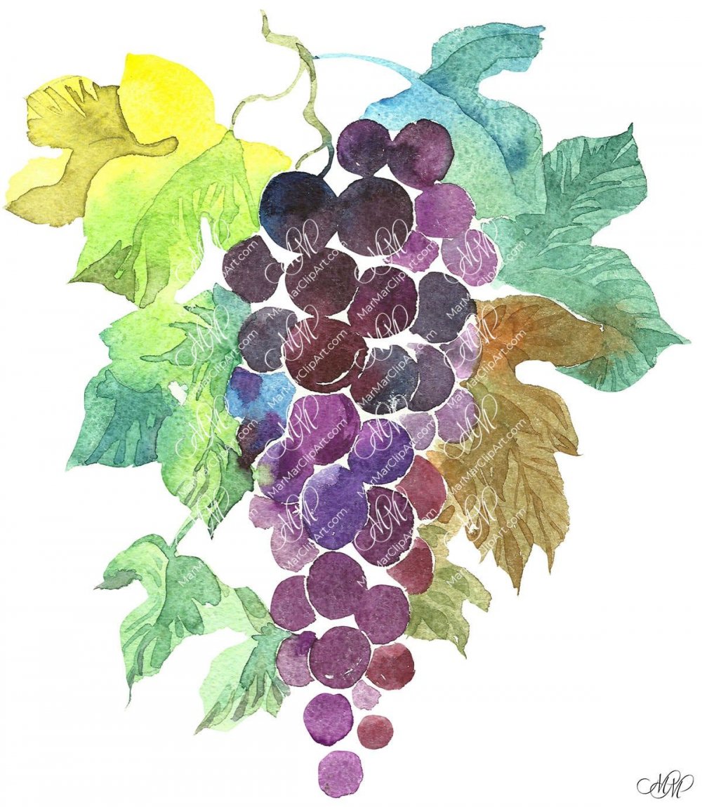 Абстракционизм рисунок виноград