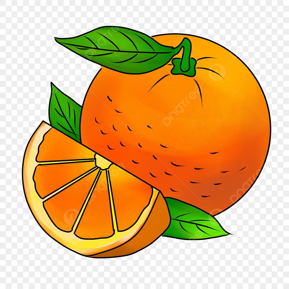 Апельсин картинка для детей