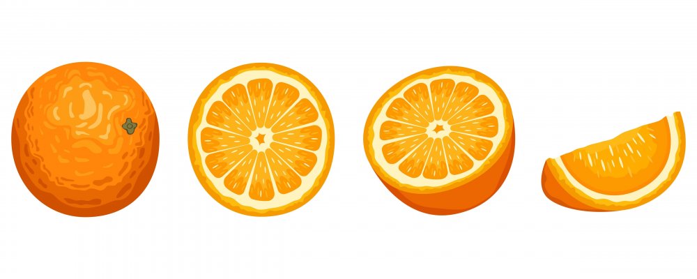 Апельсиновые дольки вектор
