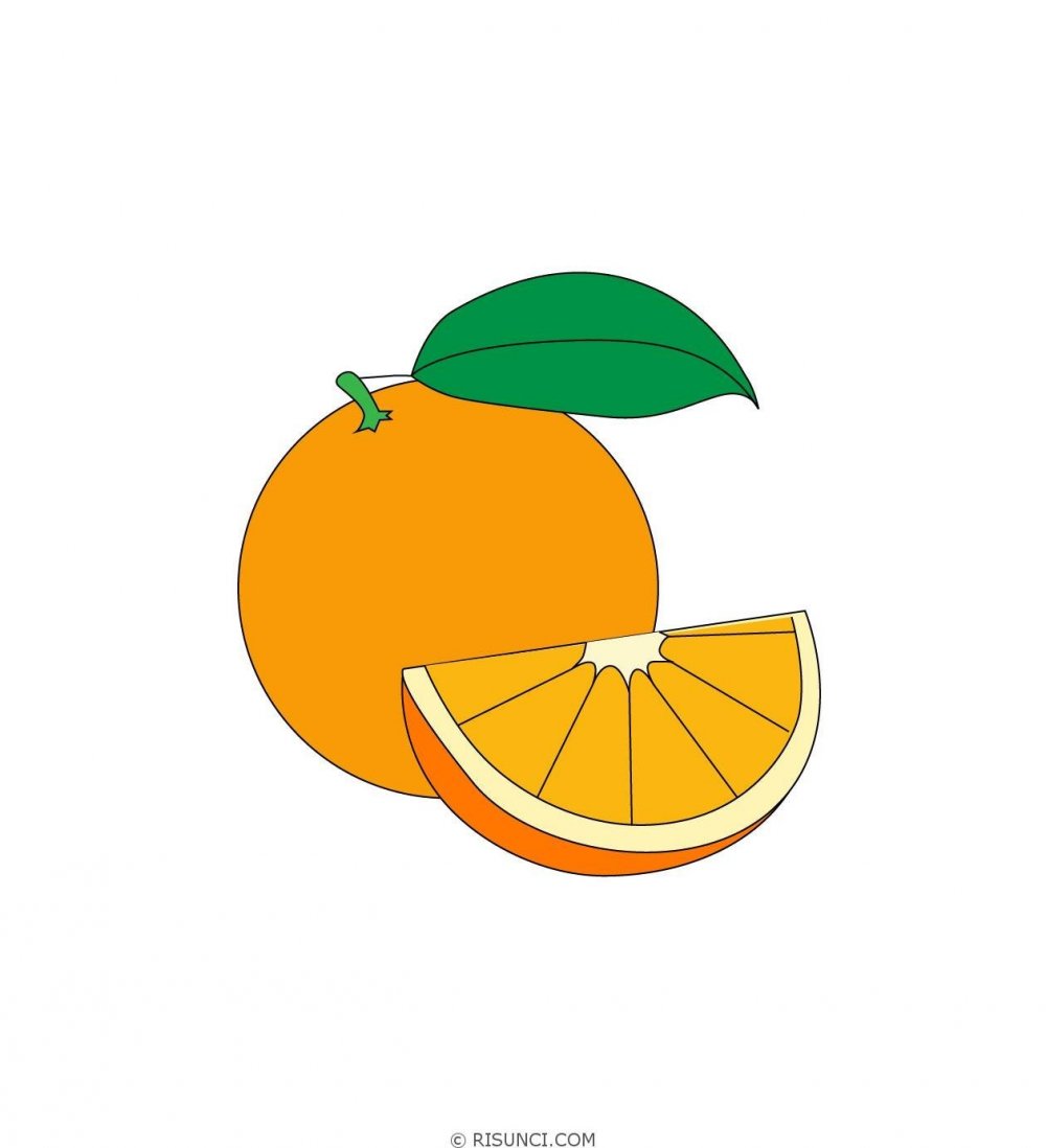 Апельсин рисунок