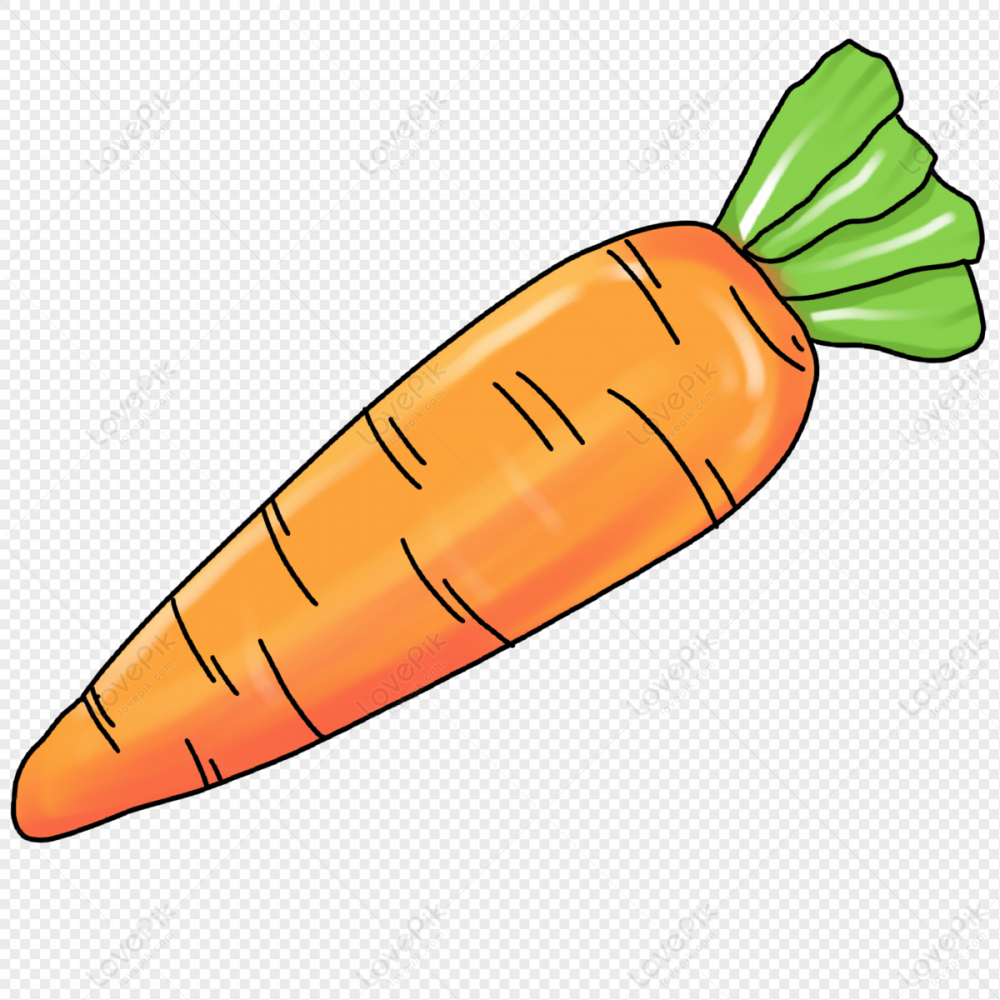 Картинка морковь для детей на прозрачном фоне для детей