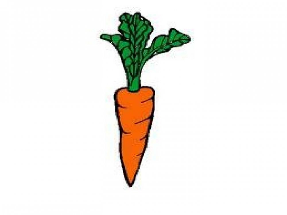Четыре морковки