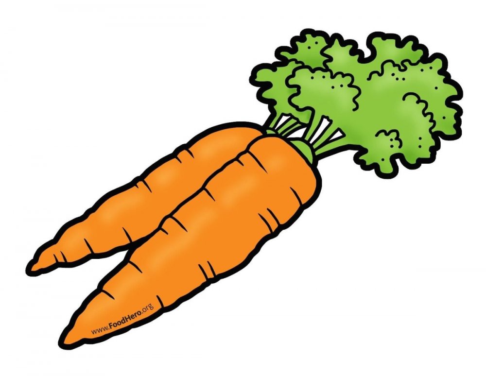 Рисунок лежачей морковки для детей