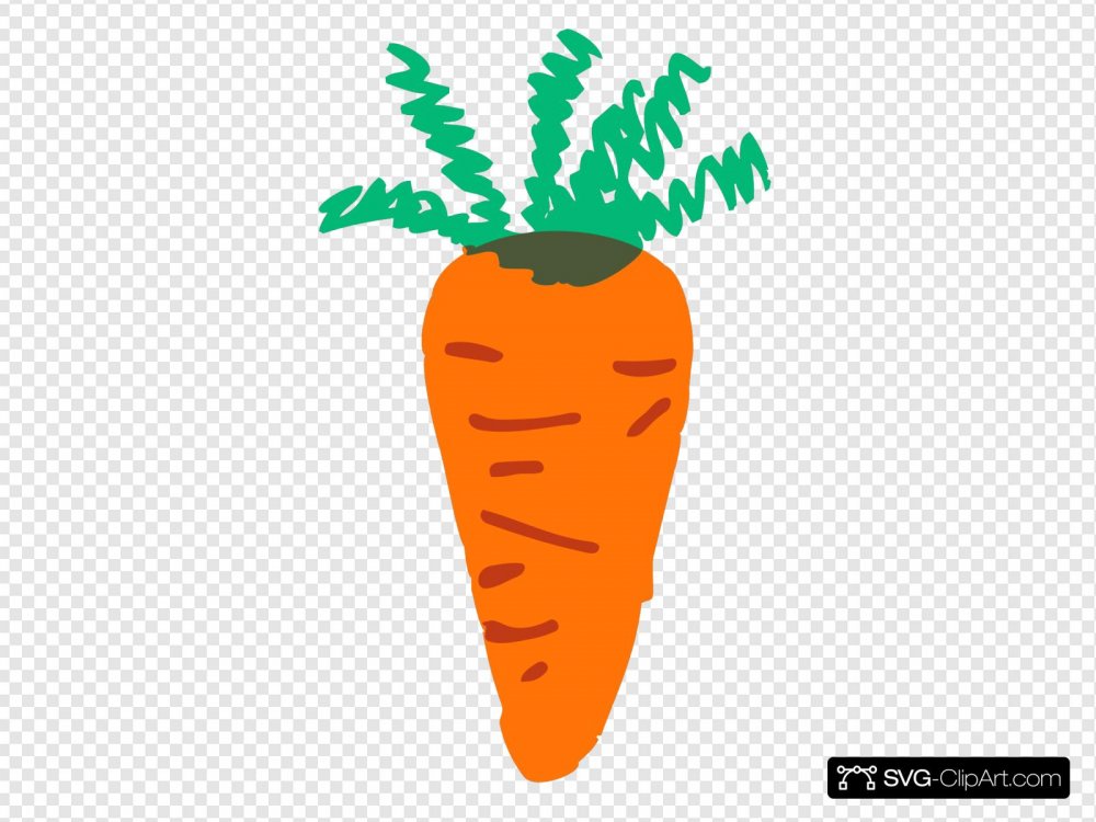 Морковки на прозрачном фоне принт