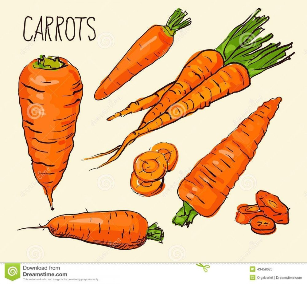 Няшная морковка