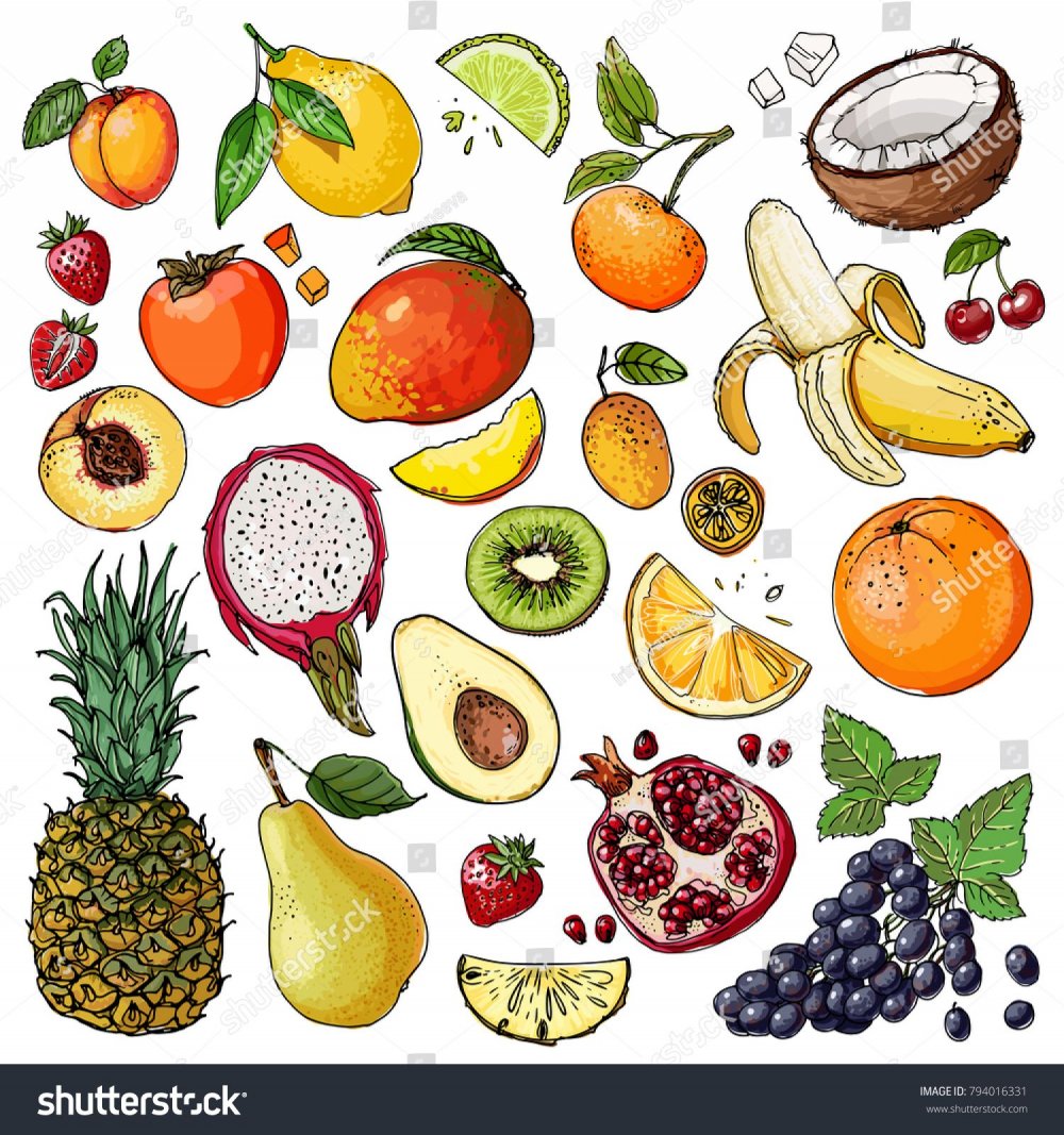Картинки фруктов для срисовки
