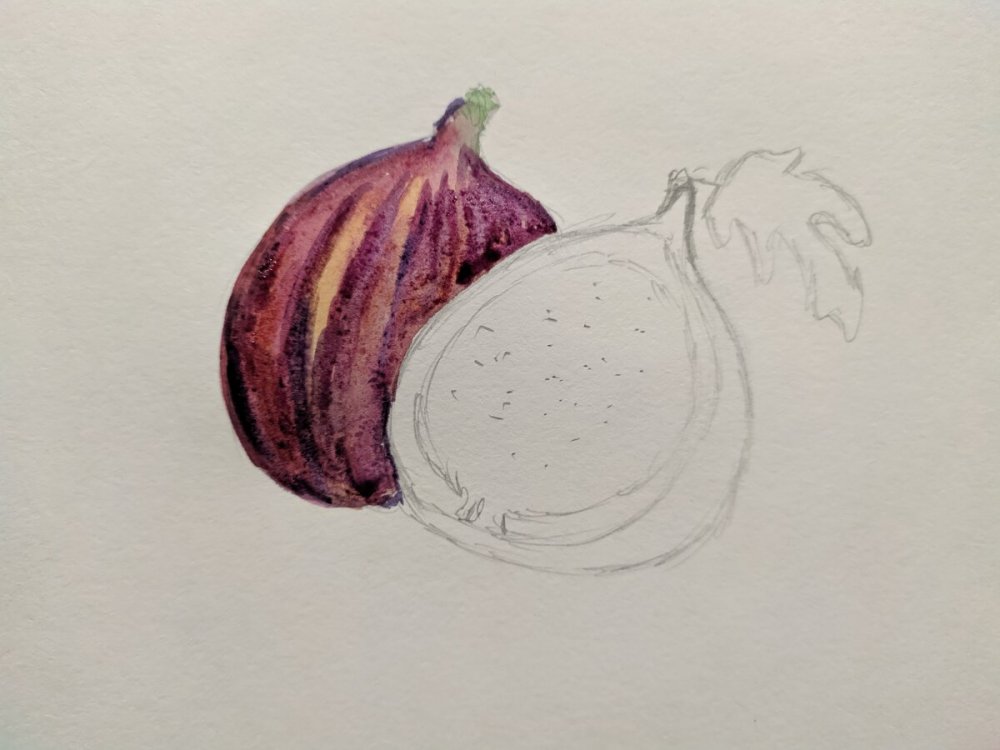 Векторная иллюстрация фрукты