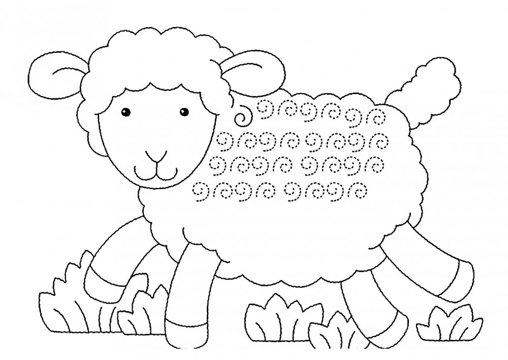 Овца картинка для детей